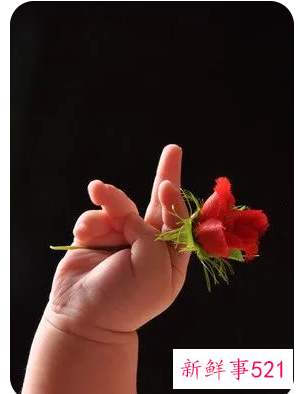 属虎男孩名字洋气姓王