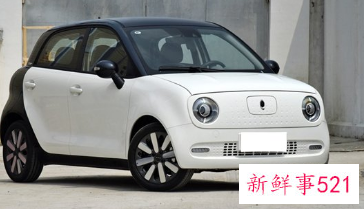 纯电动车排名前十名