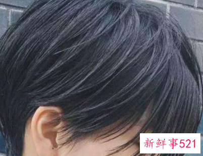 胖脸扎什么头发显瘦