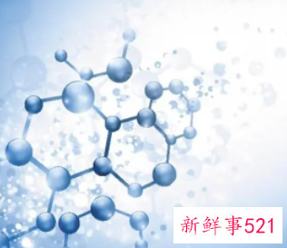 蛋白质的生理功能