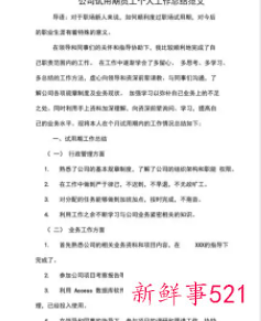 工作试用期总结范文简短