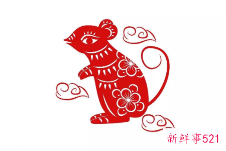 属鼠和属猪的婚姻相配吗