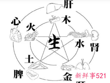 五行属水的身体部位