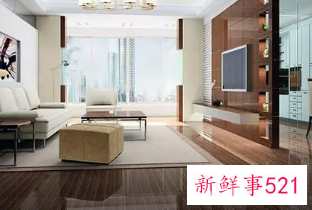 客厅里摆放什么好