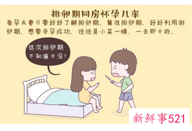 备孕期不用过度关注排卵期