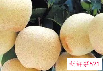 代表四川特色的东西