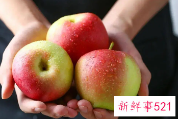 苹果西红柿减肥效果好吗