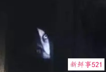 鬼打墙是鬼在帮你