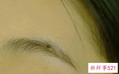 立体仿真眉毛应该怎么绣