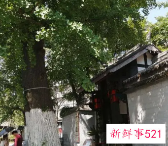 大门隔着路对面有树好不