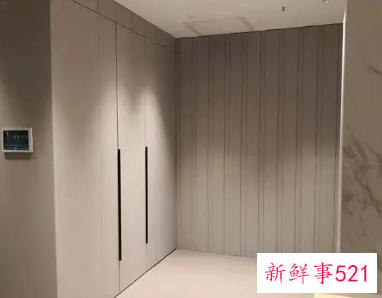 家装衣柜用什么板材比较好又环保