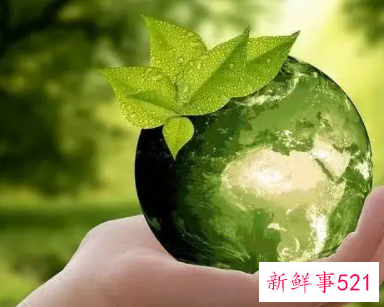 保护生态环境演讲稿题目