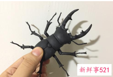 厨房很多小虫子怎么办