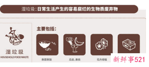 绿植落叶属于什么垃圾