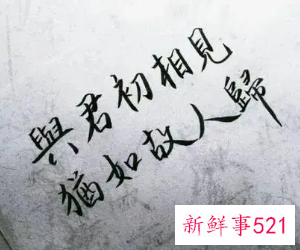 往后余生唯美的短句