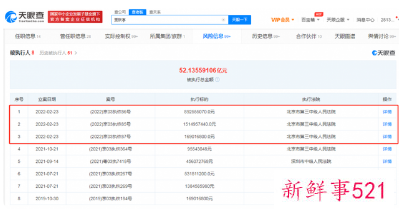 贾跃亭新增三条被执行信息总计25亿