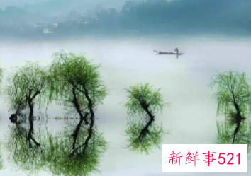 有诗意文雅的女孩名字