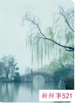 有诗意文雅的女孩名字