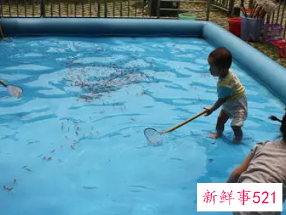 梦见捞鱼被偷是什么意思