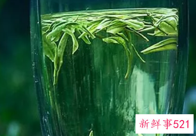 六大茶类基本知识