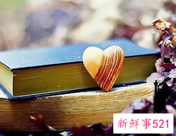 被伤到一定程度就没爱了