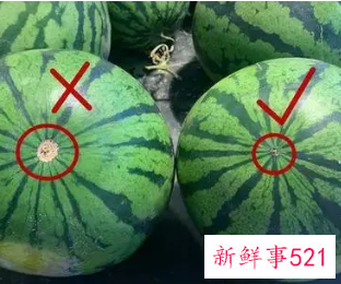 如何选购西瓜