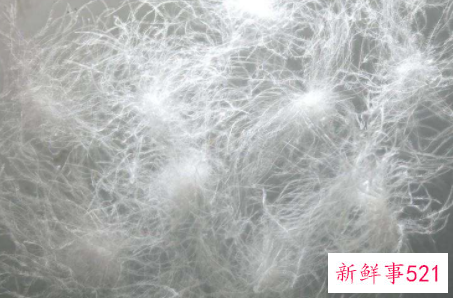 羽绒裤直接外穿暖和吗