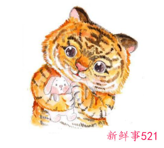 女虎男兔婚姻好不好