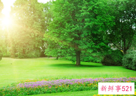 保护生态环境演讲稿题目