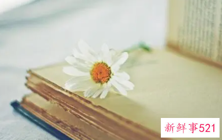 初中优秀写景作文