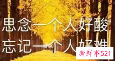 人心是慢慢变冷的句子图片