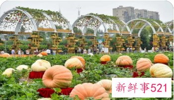 2022长春农博会什么时候举办