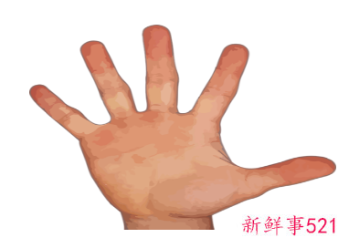 手指肚上起了红色的小点是什么病