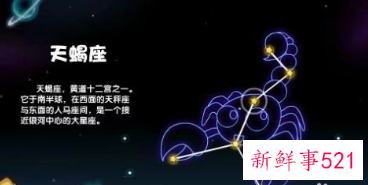 满脑子都是天蝎女的星座男