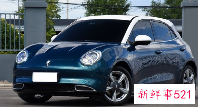 纯电动车排名前十名