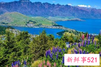 表达心很累的句子