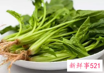 菠菜什么样的人不能吃