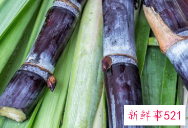 上梁水果寓意哪种好