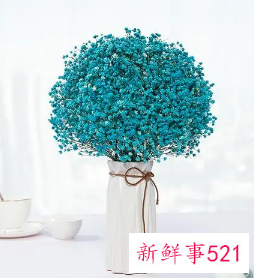 客厅适合放什么干花招财