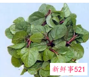 紫角叶的功效有哪些