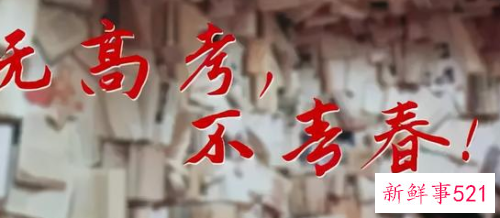 浙江省高考录取