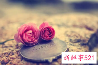 情人名字怎么备注名称