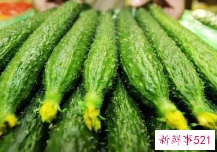 黄瓜怎么存放不会坏
