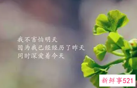 巨蟹座励志的座右铭