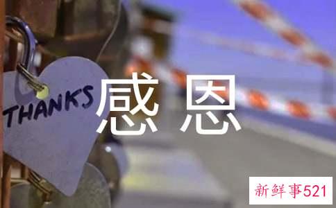 我懂得了感恩作文