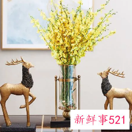 客厅适合放什么干花招财