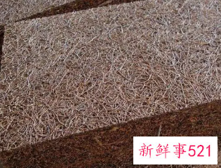 环保棕和椰棕床垫的区别