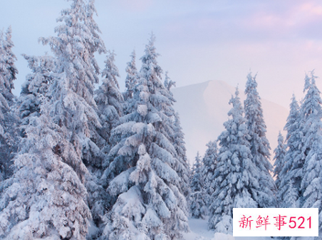 大雪的由来简介