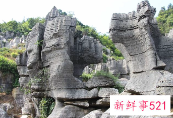 四川4A级竹石林景区2805万元起拍