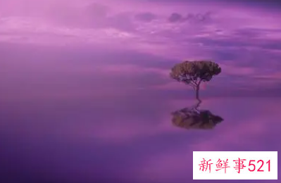 梦见厕所全是蛆爬满地